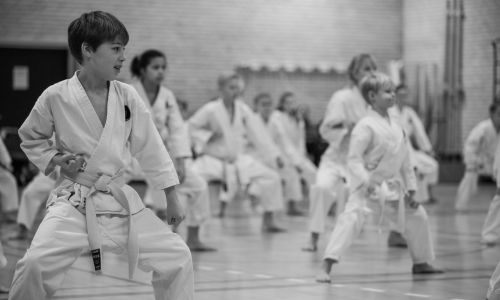 F&aelig;llestr&aelig;ning pga vinterferie i uge 7